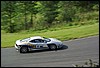 IMGP2516.jpg