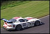 IMGP2618.jpg