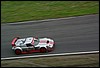 IMGP2959.jpg