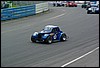 IMGP3114.jpg