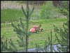 IMG_0814.jpg