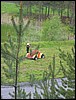 IMG_0815.jpg