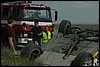 IMGP5748.jpg
