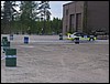 IMG_0501.jpg